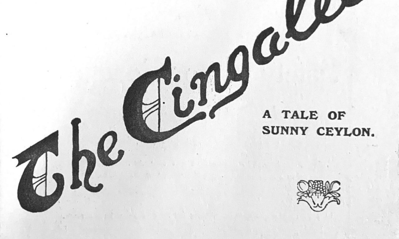 The Cingalee