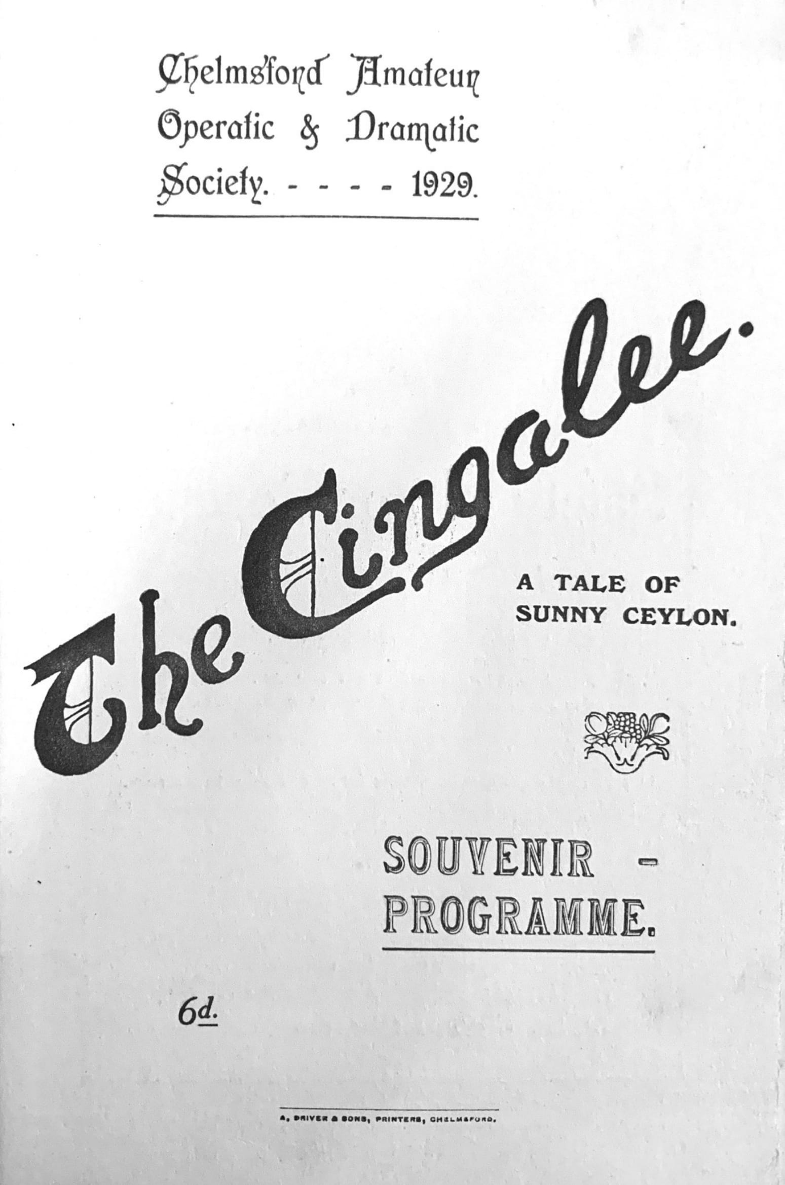 The Cingalee